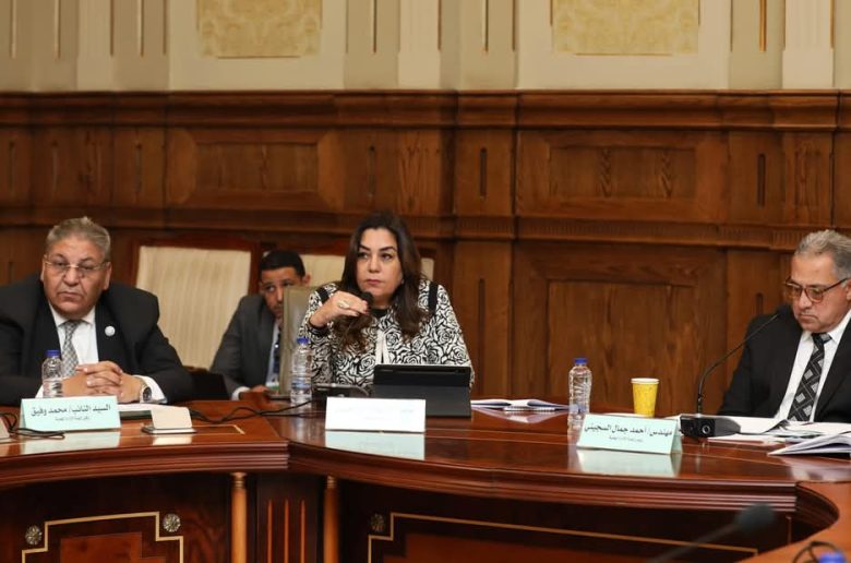 وزيرة التنمية المحلية تعرض خطة التعامل مع ظاهرة انتشار الحيوانات الضالة بالمحافظات