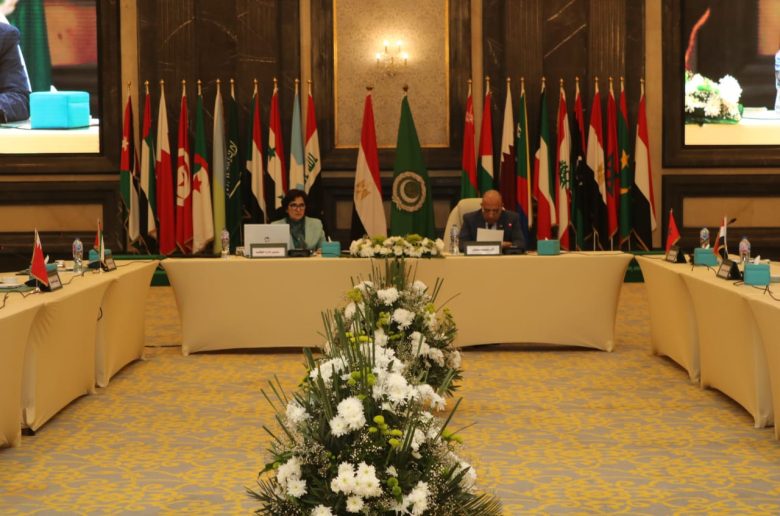 المجلس الوزاري العربي للكهرباء