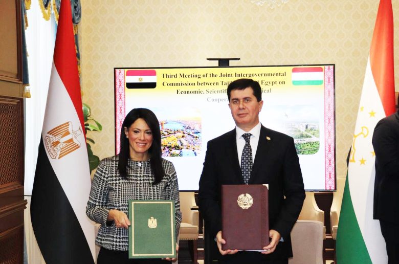 وزيرة التخطيط والتعاون الدولي