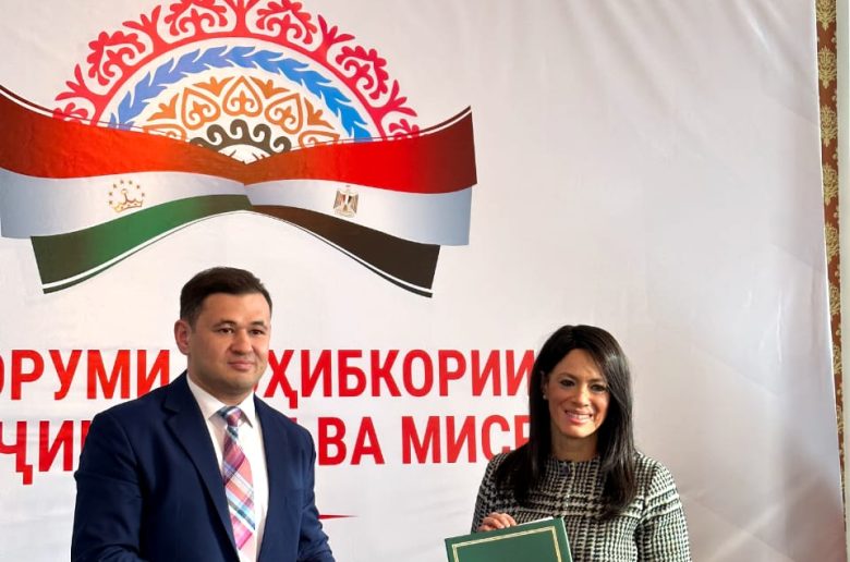 وزيرة التخطيط والتعاون الدولي