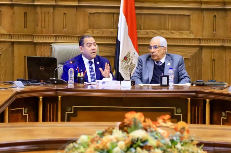 جهاز التنظيم والإدارة: إطلاق منظومة إلكترونية لتنمية وبناء قدرات الموظفين يونيو المقبل