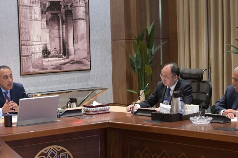 رئيس الوزراء يبحث إقامة مشروعين جديدين مع رئيس أكبر شركة صينية لتصنيع إطارات السيارات