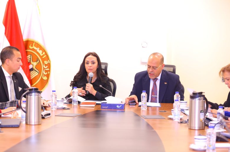 وزيرا التضامن والعمل يترأسان اجتماع اللجنة المختصة بإعداد «قانون العمالة المنزلية»