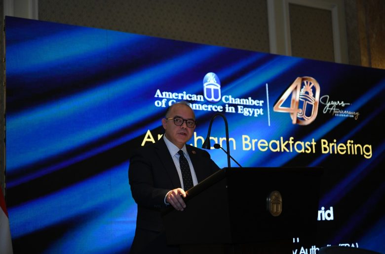 الدكتور محمد فريد رئيس هيئة الرقابة المالية