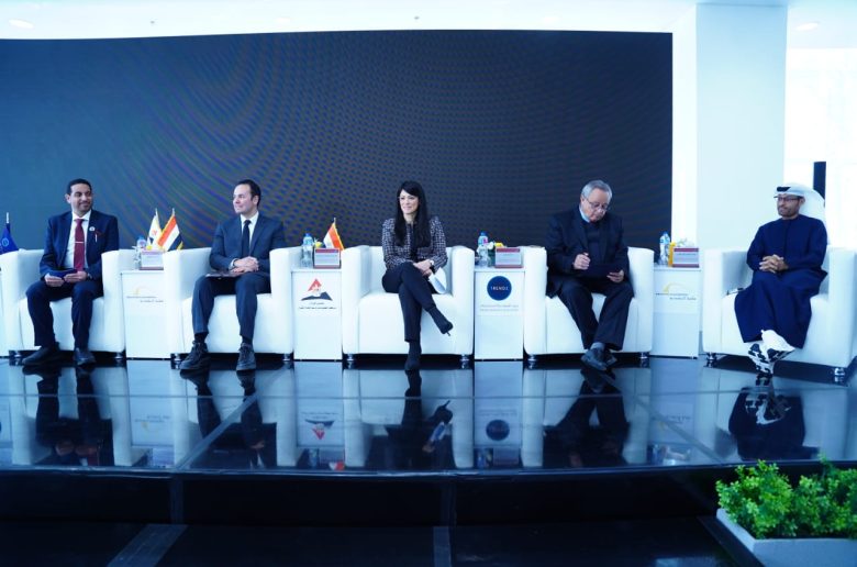 وزيرة التخطيط والتعاون الدولي