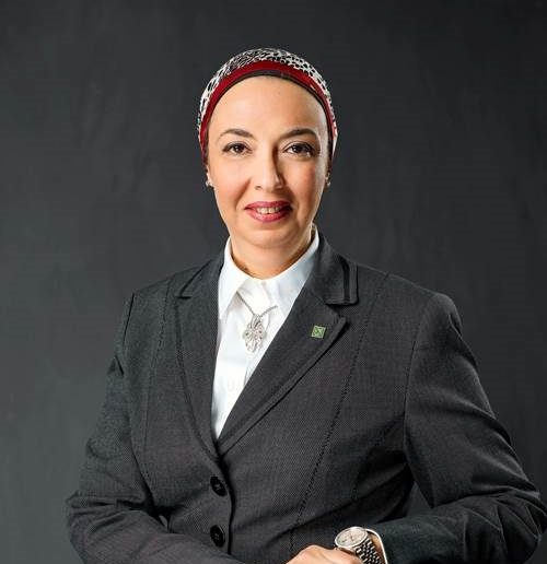 بهية إسماعيل العضو المنتدب لشركة مصر القابضة للتأمين