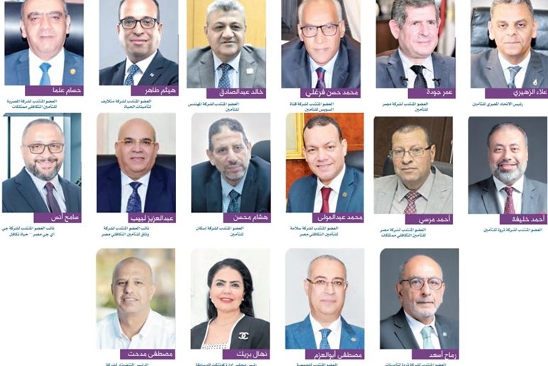 قيادات شركات التأمين والوساطة والرعاية الصحية