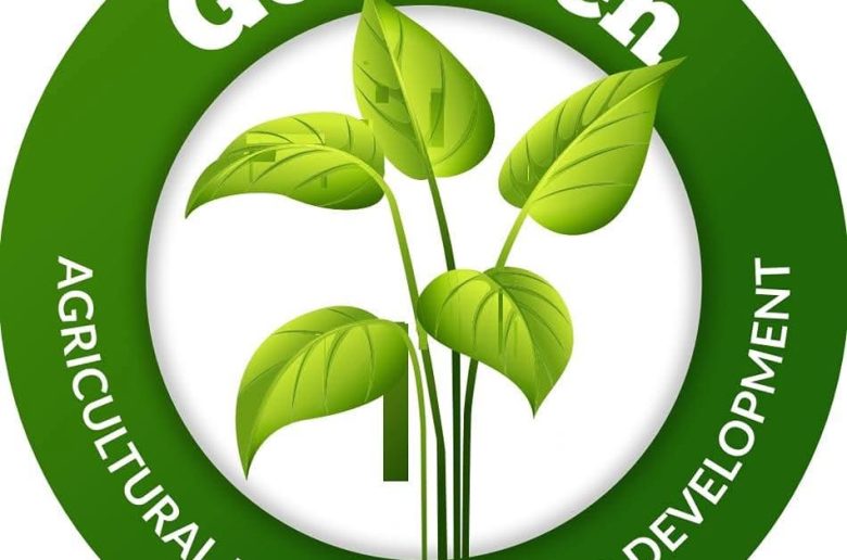 طرح جو جرين بالبورصة المصرية