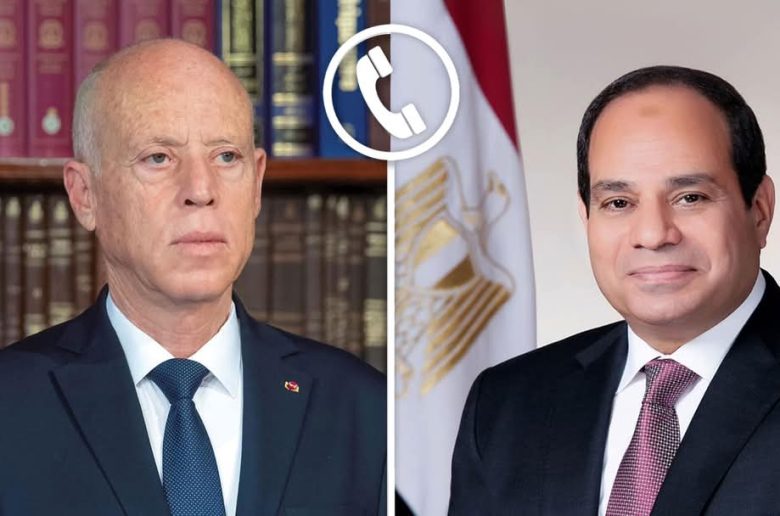 الرئيس السيسي يستعرض جهود تثبيت إتفاق وقف إطلاق النار وإنفاذ المساعدات الإنسانية