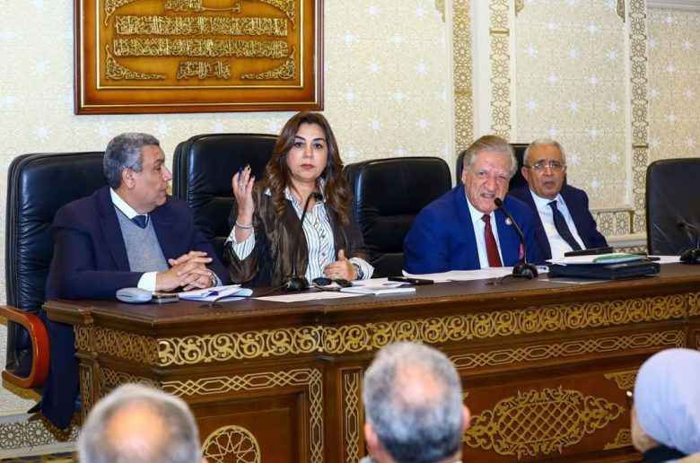 منال عوض: تخصيص ملياري جنيه للخطة الاستثمارية للعام المالي الماضي لدعم خطط التنمية المحلية