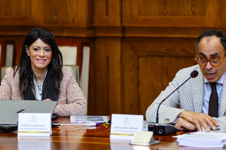 وزيرة التخطيط والتعاون الدولي