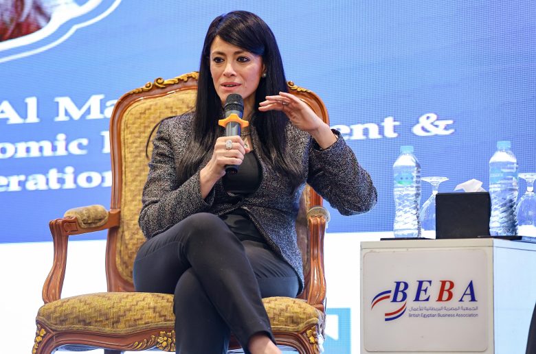 وزيرة التخطيط والتعاون الدولي