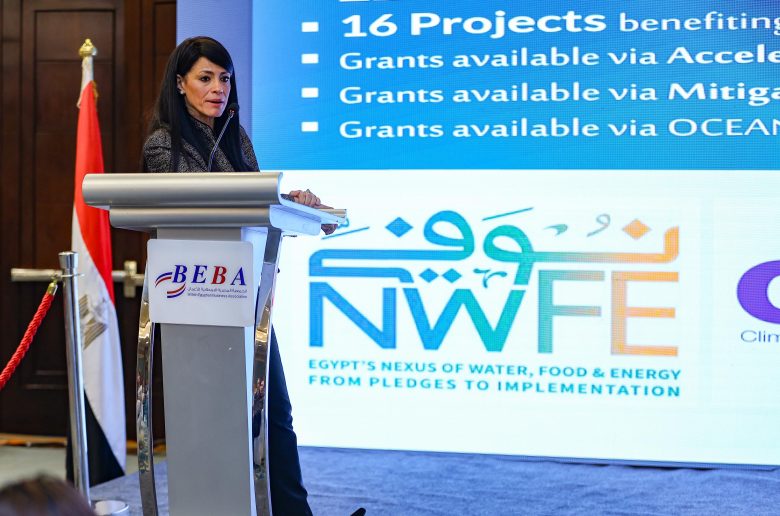 وزيرة التخطيط والتعاون الدولي