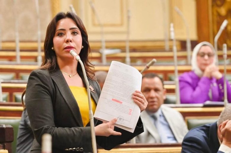 النائبة غادة علي عضو اللجنة الاقتصادية