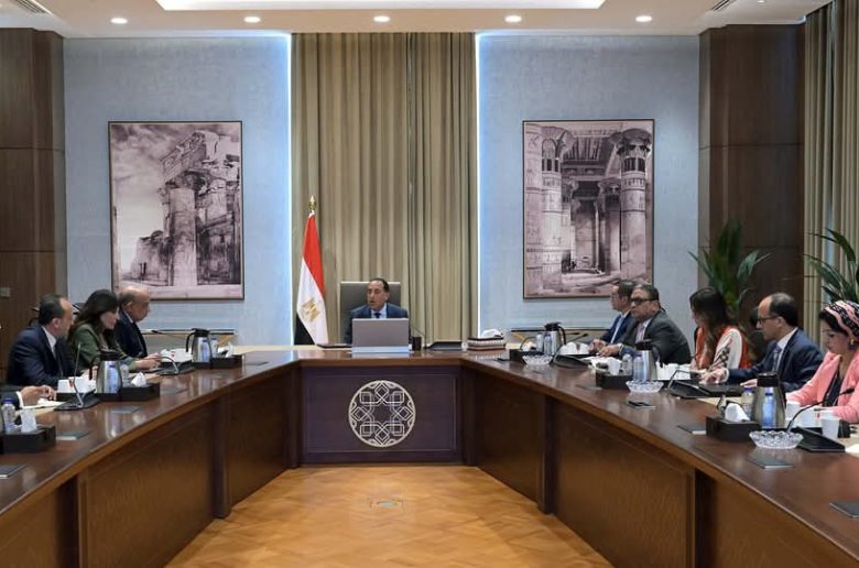 رئيس الوزراء يتابع موقف الطروحات في قطاع الطاقة