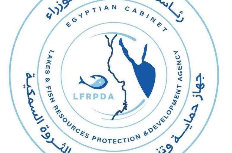 جهاز حماية البحيرات: نستهدف إنتاج 575 طن أسماك بالموسم الحالي بمزرعة برسيق