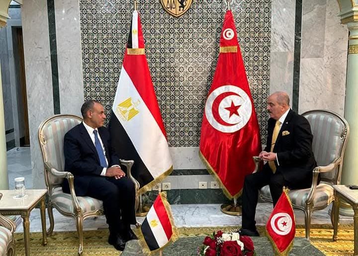 وزير الخارجية ونظيره التونسي يبحثان التطورات بمنطقة الشرق الأوسط