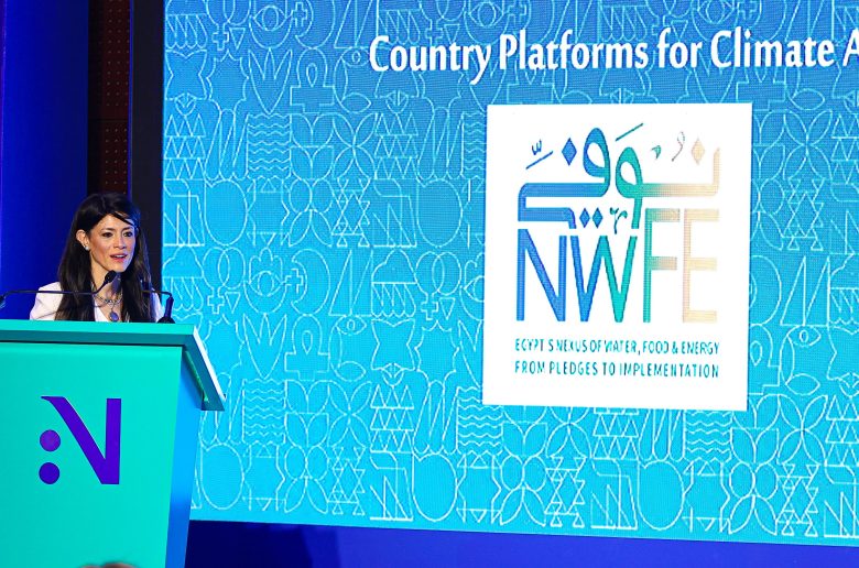 وزيرة التخطيط والتعاون الدولي