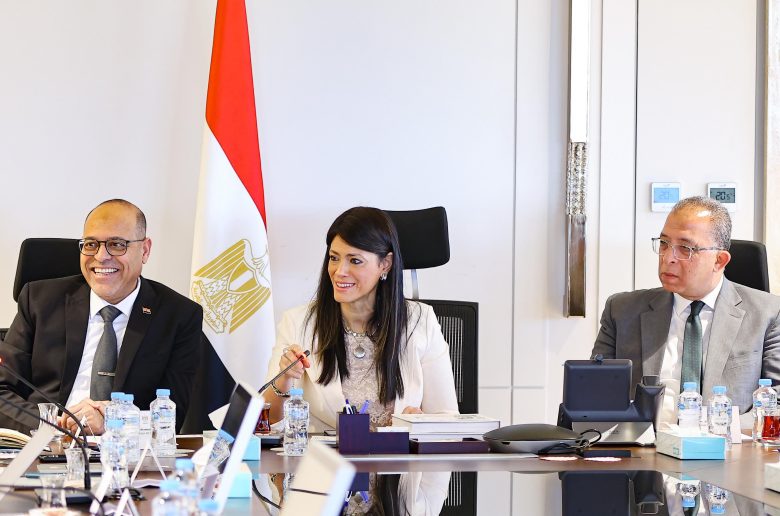 وزيرة التخطيط والتعاون الدولي