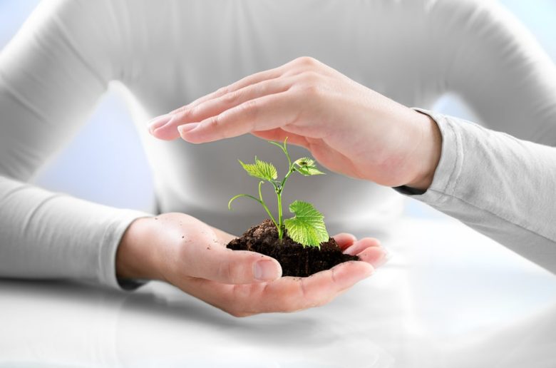 التأمين الزراعي - ارشيفية