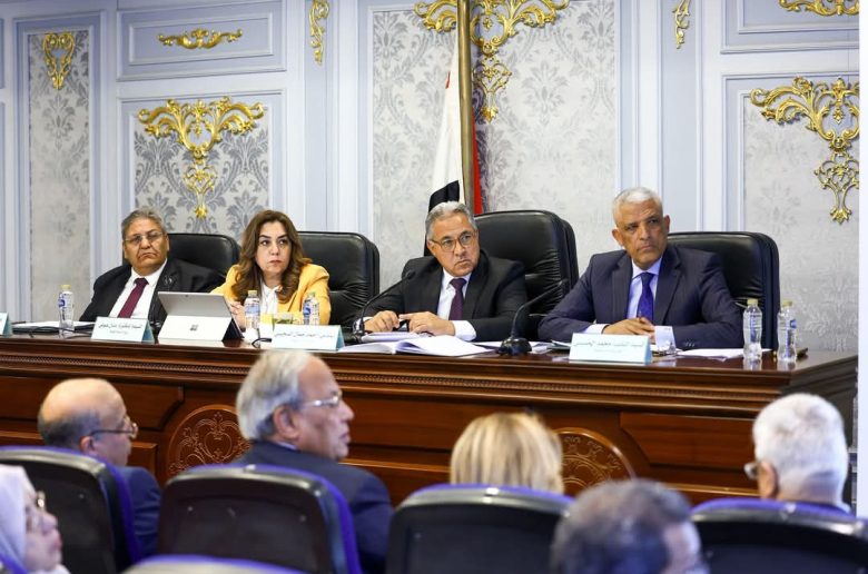 وزيرة التنمية المحلية: نولي اهتمامًا كبيرًا لتشجيع الاستثمار ودعم القطاع الخاص
