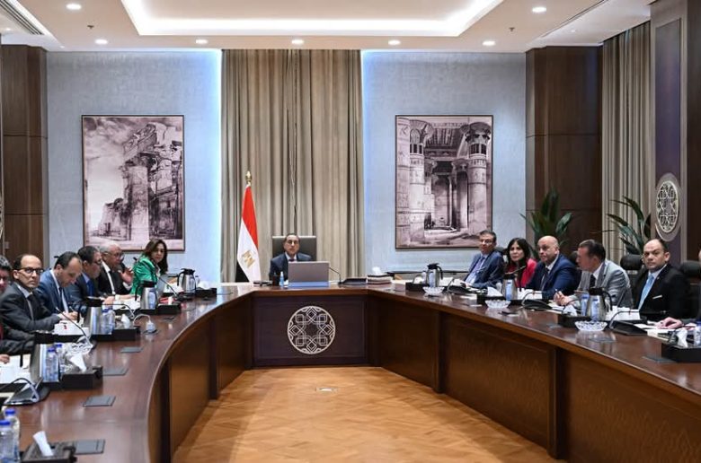 رئيس الوزراء يوجه بتقديم تصور واضح لاحتياجات الدولة من الحرير