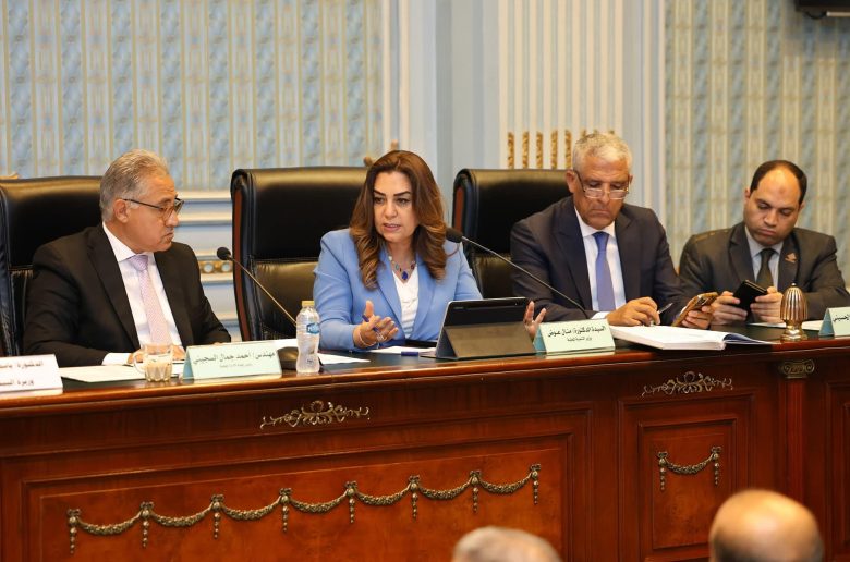 وزيرة التنمية المحلية: إنفاق حوالى 4.8 مليار جنيه على مشروعات البنية التحتية