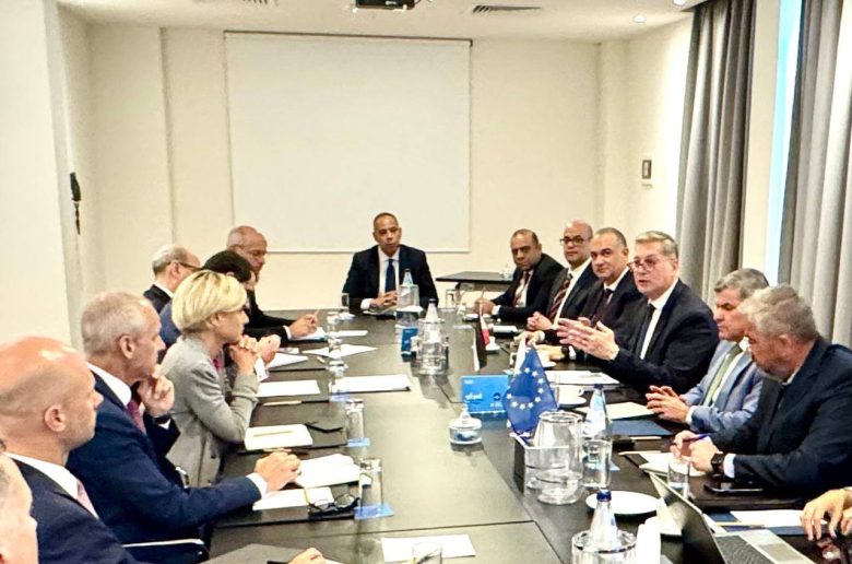 جانب من اللقاء