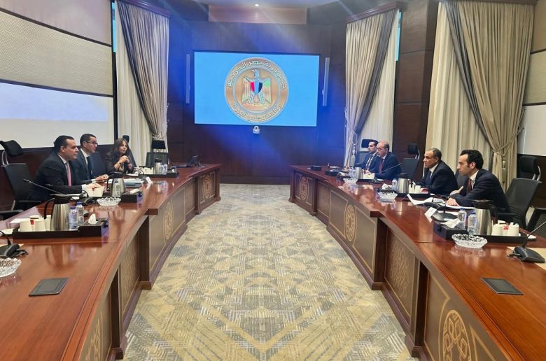 وزيرا الخارجية والاستثمار يؤكدان أهمية دعم الصادرات والاستثمارات المصرية بالخارج