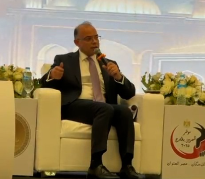 الدكتور محمد فريد رئيس هيئة الرقابة المالية