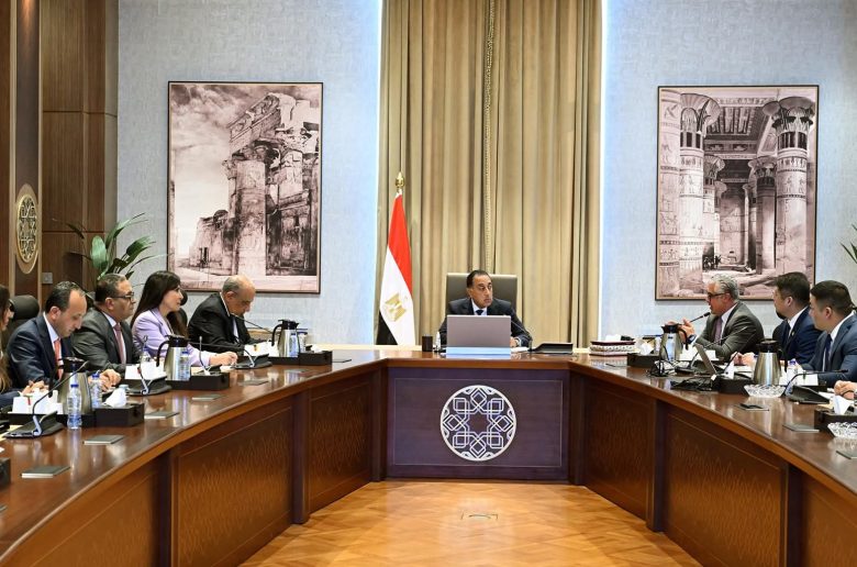 رئيس الوزراء يبحث توطين صناعة مكونات مشروعات الطاقة المتجددة مع شركة صينية