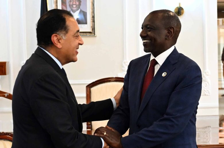 الرئيس الكيني يلتقى رئيس الوزراء لبحث مجالات التعاون المشترك 