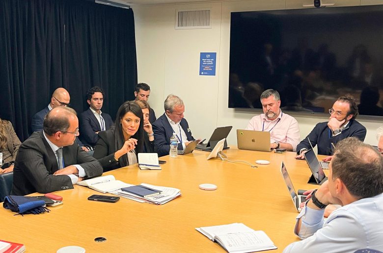 وزيرة التخطيط والتعاون الدولي