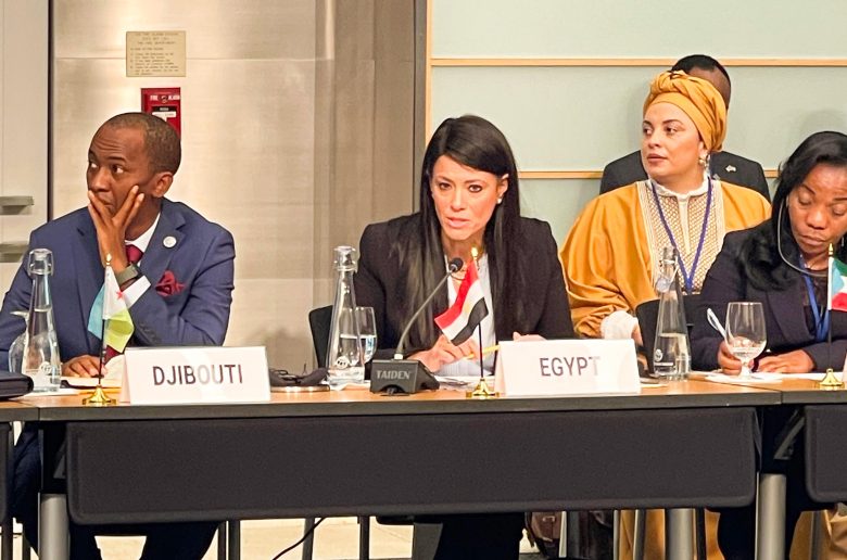 وزيرة التخطيط والتعاون الدولي