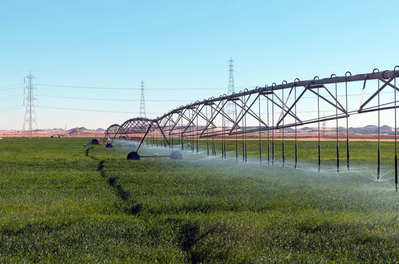 مصر والسودان