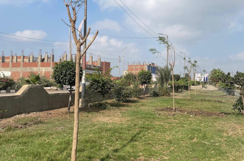 وزيرة التنمية المحلية تكلق المرحلة الرابعة من مبادرة «100 مليون شجرة» بالشرقية