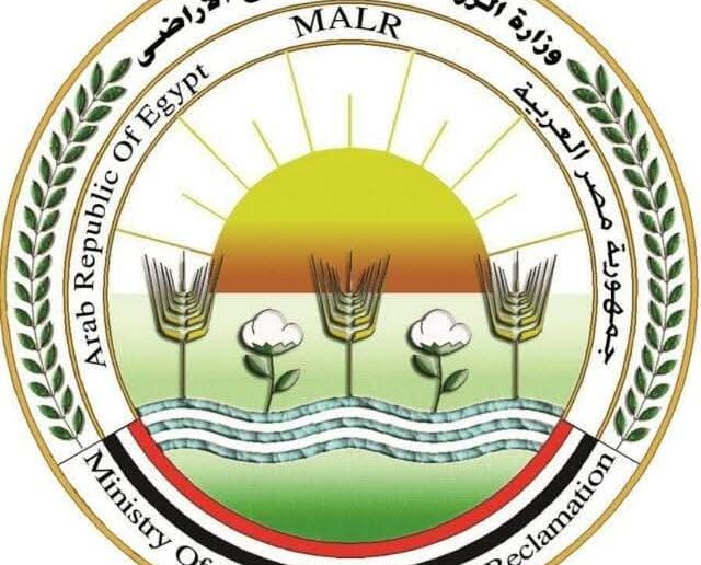 وزارة الزراعة: بدء الموسم التصديري الجديد لمحصول البرتقال منتصف ديسمبر المقبل 