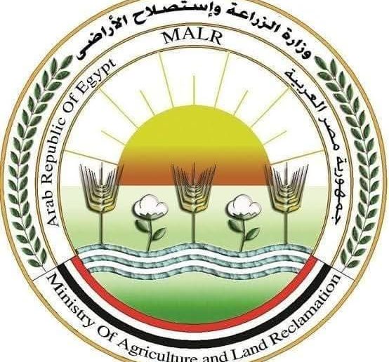 وزارة الزراعة: غلق وتشميع محلاً غير مرخص للدواجن بمحافظة الجيزة