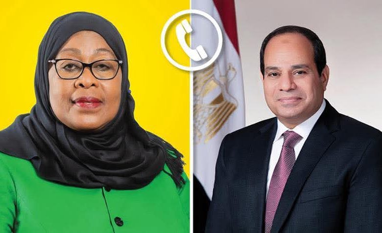 الرئيس السيسي: مستعدون لدفع المزيد من الاستثمارات المصرية إلى السوق التنزانية