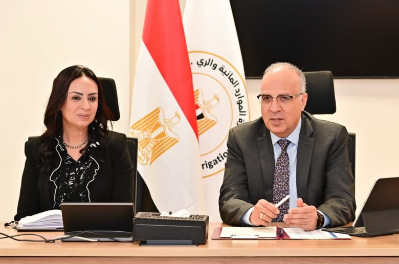 وزيرا الري والتضامن يبحثان التعاون بمجال تدوير ورد النيل لإنتاج مشغولات يدوية