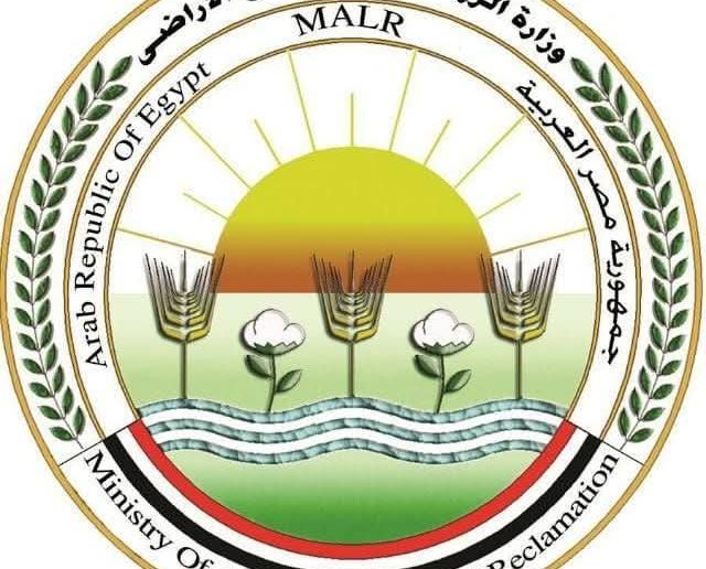 وزارة الزراعة تنفي رصد جراد صحراوي بـ«بئر العبد» في سيناء