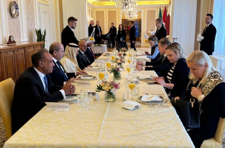 وزير الخارجية: مصر ترحب ببدء تنفيذ المرحلة الثانية من خطة السلام