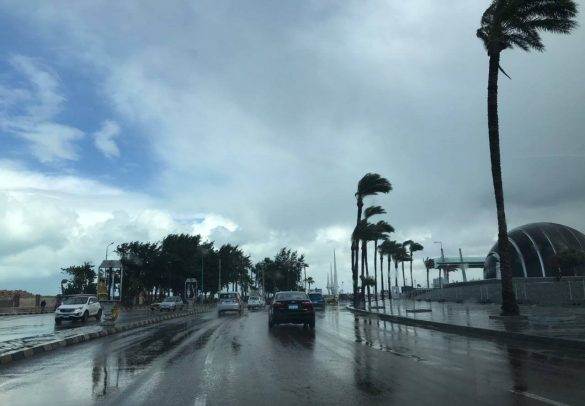 توقعات حالة الطقس غدا