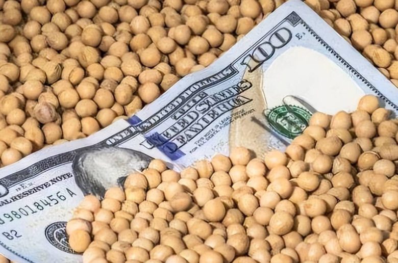 واردات مصر من فول الصويا الأمريكي