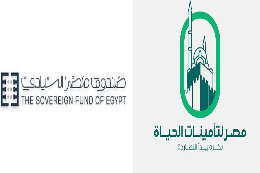 بحد أقصى 20%.. الحكومة تُرجح إتمام طرح مصر لتأمينات الحياة بالبورصة قبل نهاية العام