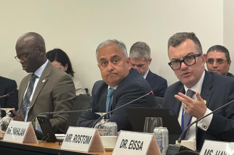 وزير التخطيط