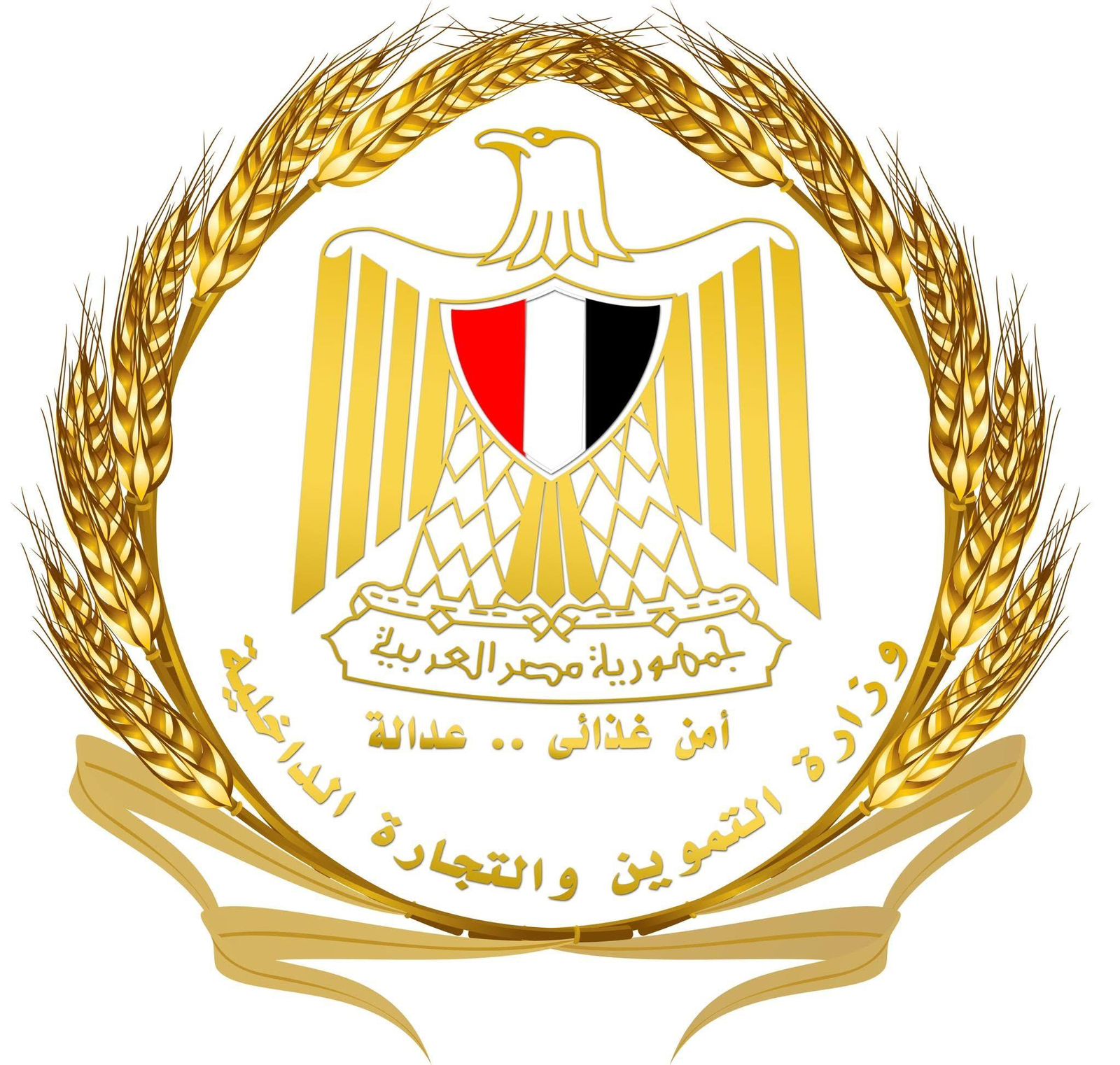 ضبط وإعدام 3 أطنان من الدواجن النافقة بالجيزة