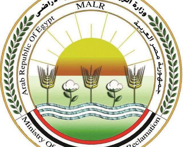 وزارة الزراعة تنفي انتشار وبائي واسع لمرض الجلد العقدي وتحصن 4 ملايين رأس ماشية
