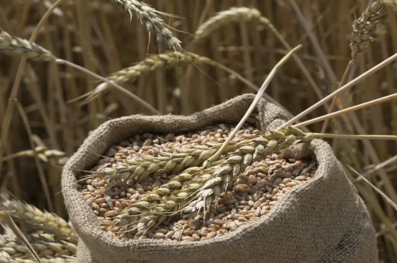 أسعار الغذاء العالمية