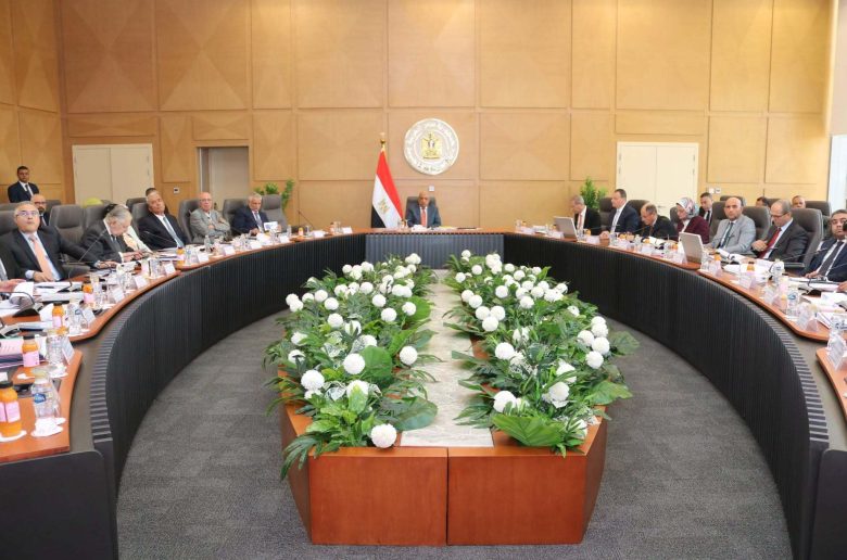 الجمعية العمومية للشركة القابضة لكهرباء مصر